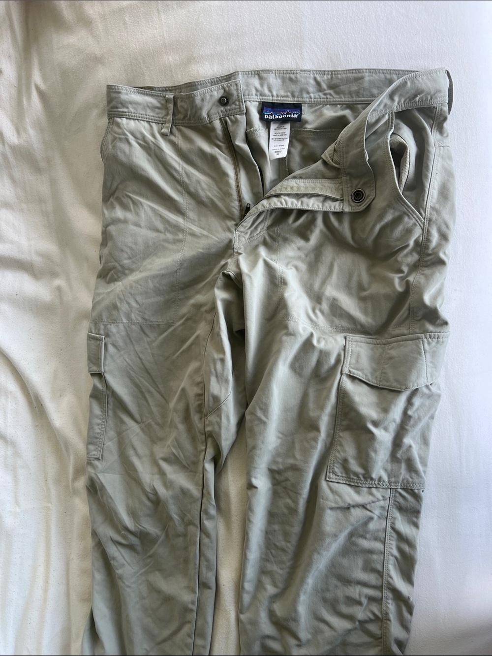 Patagonia Men's Cargo Pants in Light Sage